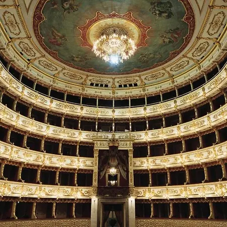 Daisy - * Парма