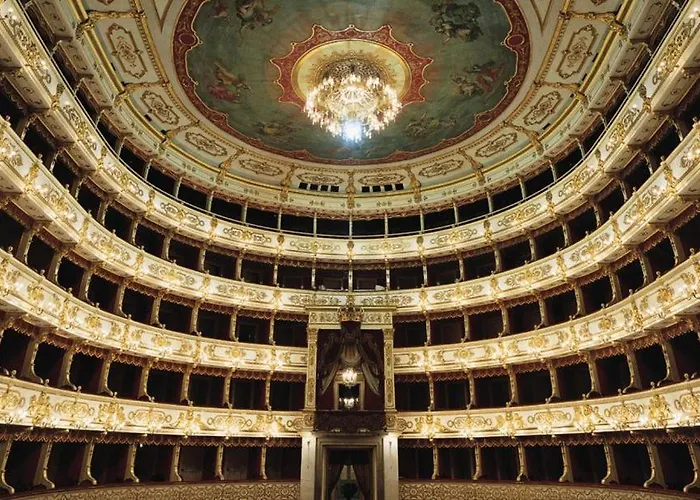 Daisy - * Πάρμα